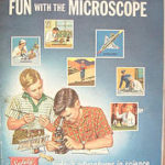 Magnification Syndrome